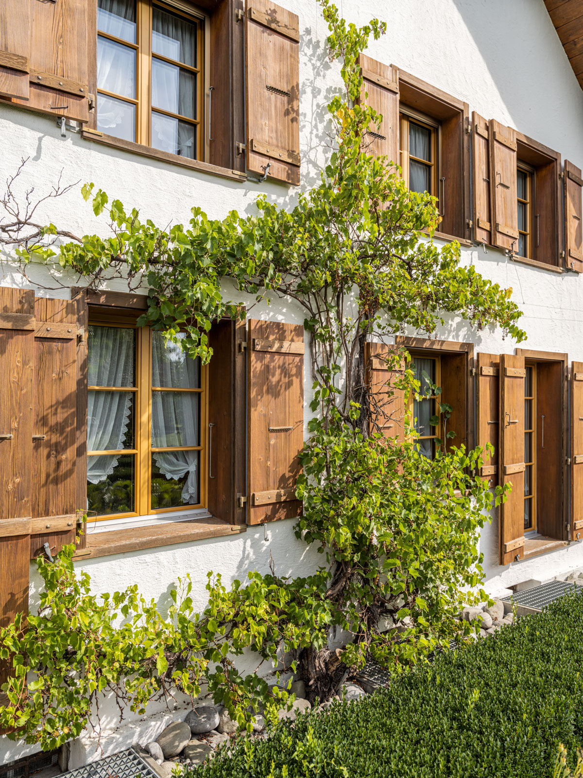 Stutz Fenster Referenz Architektur-Fotografie / Innenarchitektur-Fotografie Umbau Fensterbau MARCOLEU